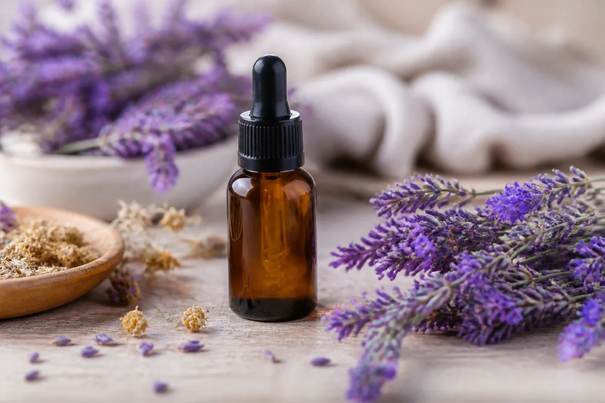 Huile essentielle de lavande : bienfaits, usages et précautions
